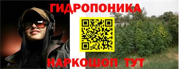 PSILOCYBIN Бугуруслан