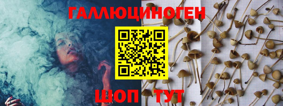 Галлюциногенные грибы GOLDEN TEACHER Лабинск