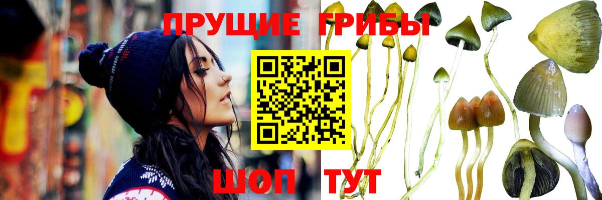 Галлюциногенные грибы Magic Shrooms  Вход с VPN  Галлюциногенные грибы прущие грибы  Лабинск 